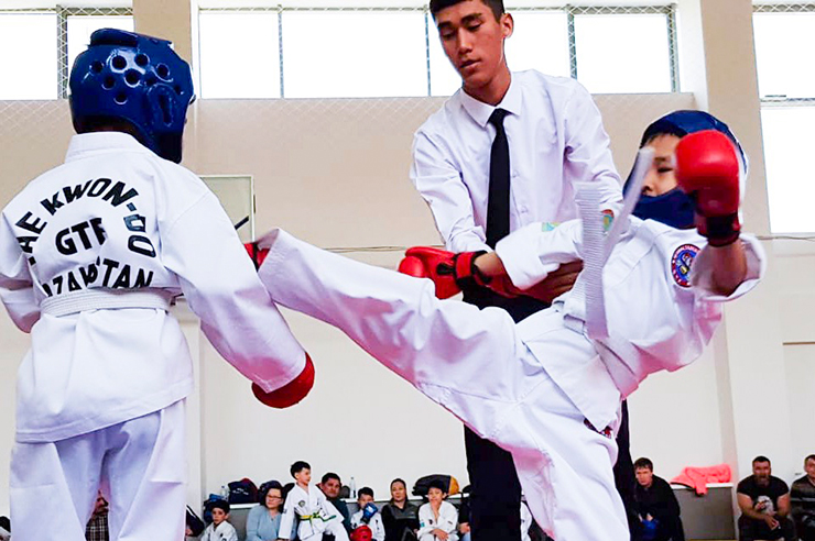 Taekwondo Taekwondo